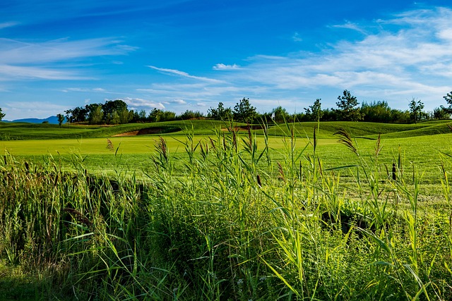 fairway