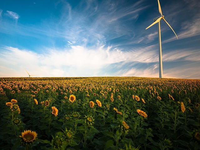 field