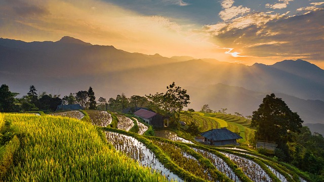 field-640x480-82026049.jpeg