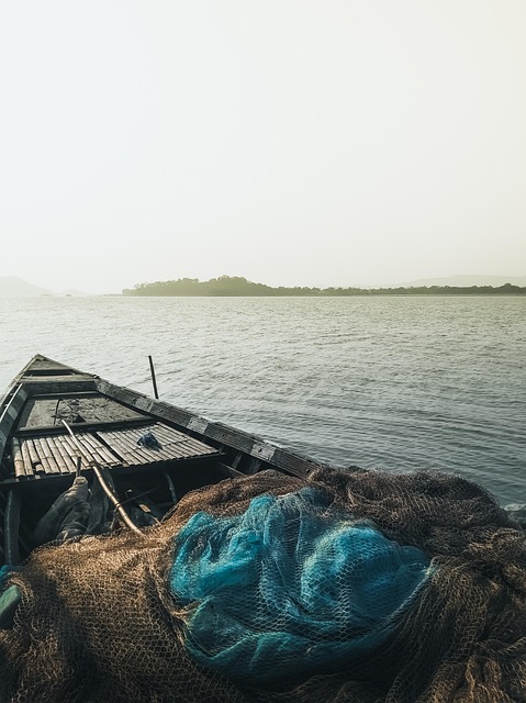 fishing