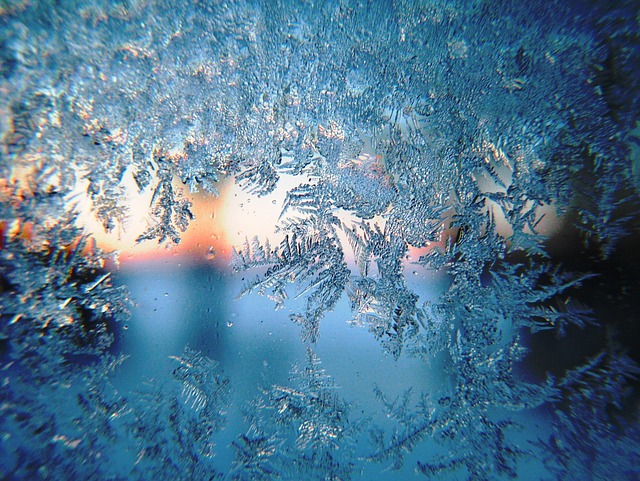 freeze