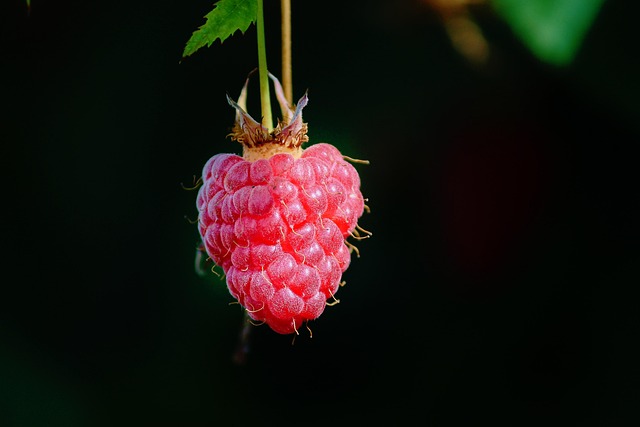 fresh-640x480-60958230.jpeg