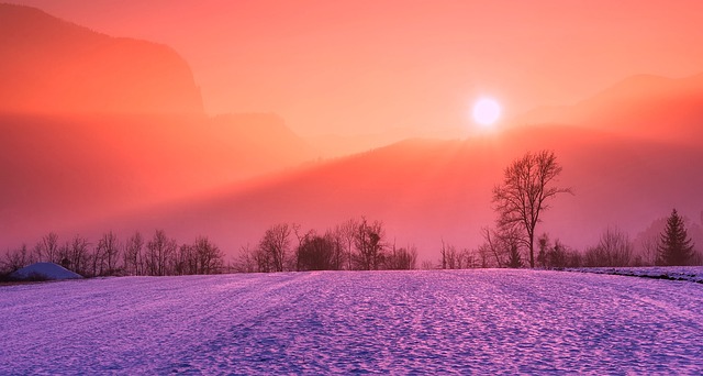 frost-640x480-87526049.jpeg