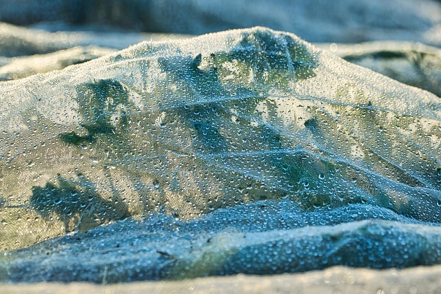 green-640x480-56474647.jpeg