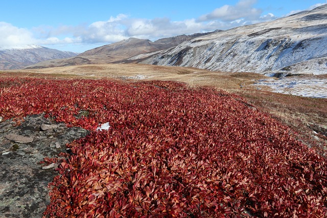 hiking-640x480-90243556.jpeg