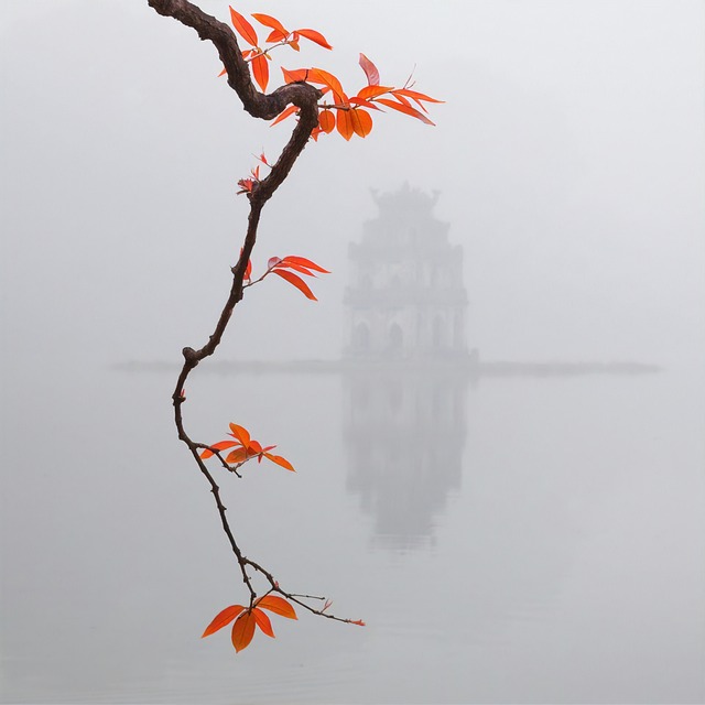 lake