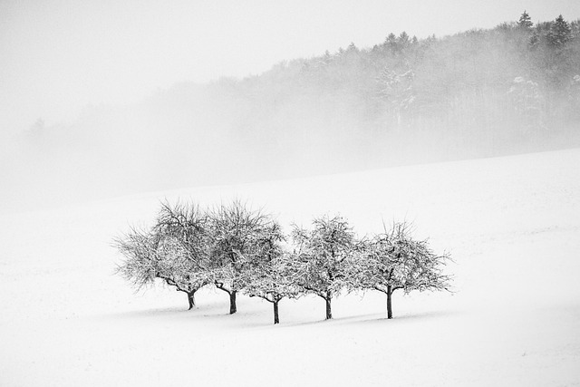 landscape-640x480-11943721.jpeg