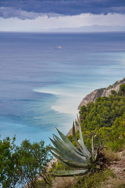 landscape