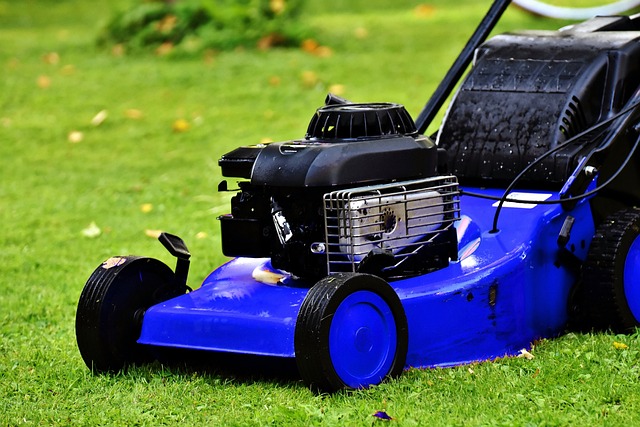 lawn-care-640x480-19849518.jpeg