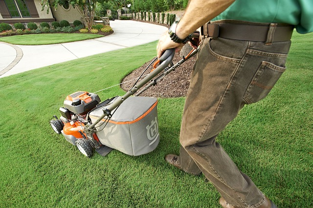 lawn-care-640x480-58610935.jpeg