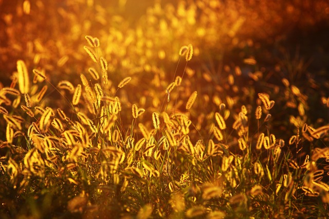 lights-640x480-98346340.jpeg