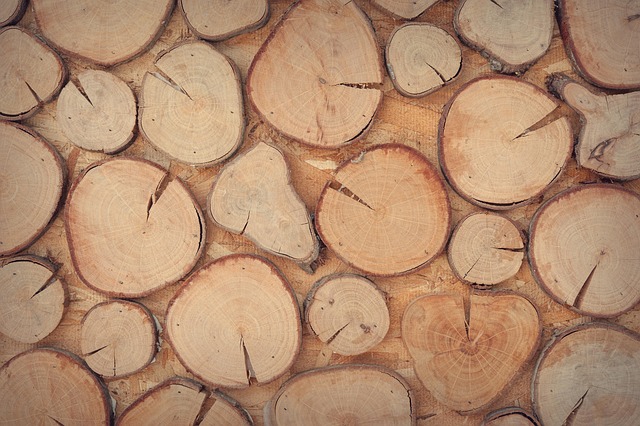 logging
