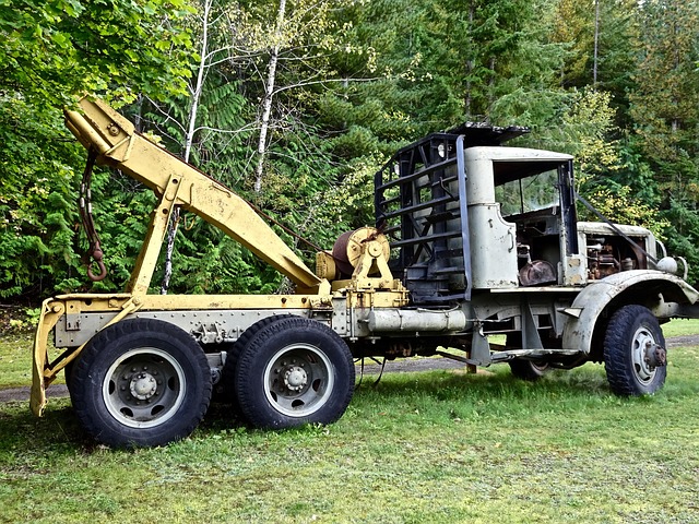 logging-640x480-72395290.jpeg