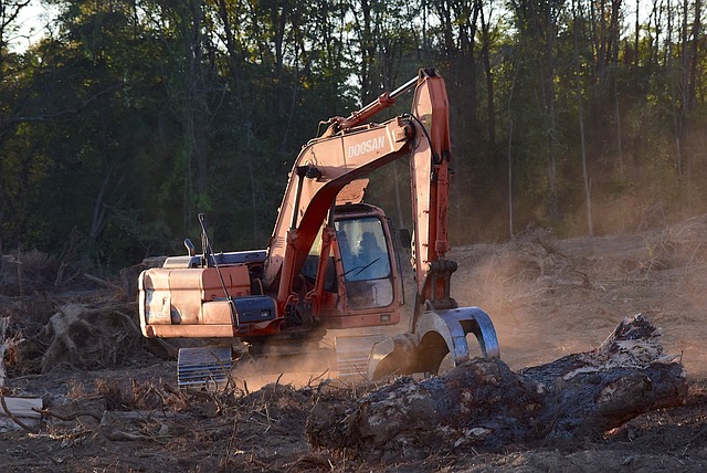 logging