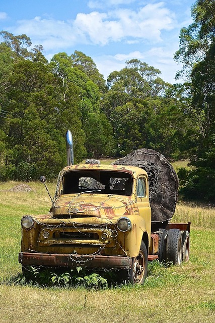 logging-640x480-89986036.jpeg