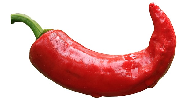 mexican food