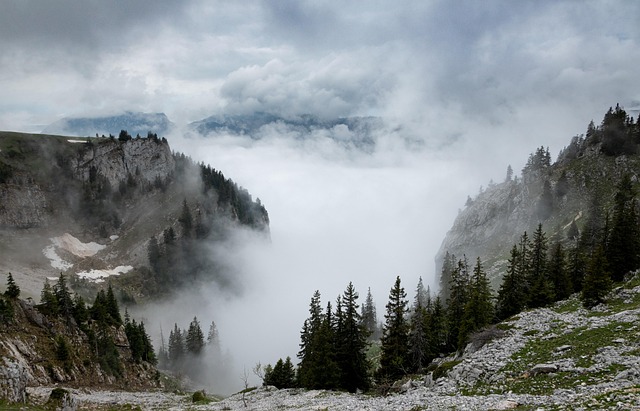 Mountains