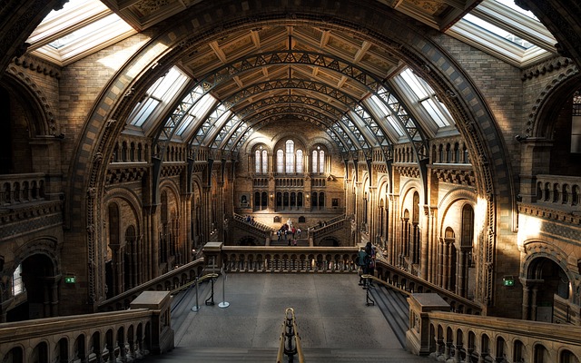 museum-640x480-8236119.jpeg