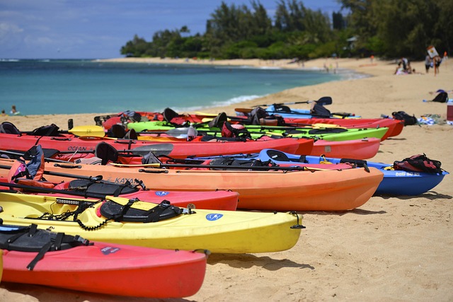 paddling-640x480-49411366.jpeg