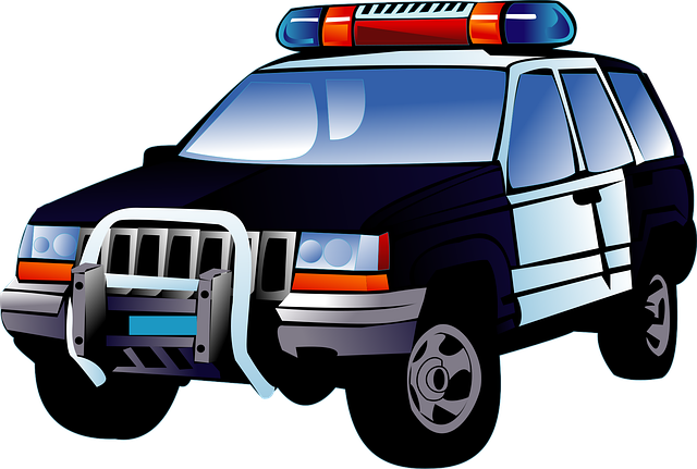 person researching personal safety laws online