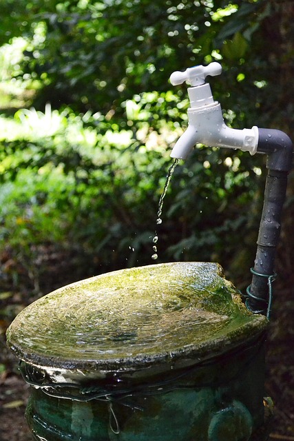 pipes