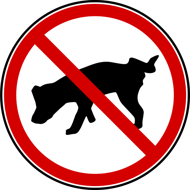 prohibition