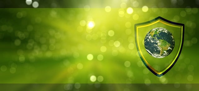 Master Smart Home Safety: Beginners’ Guide to Emergency Alerts