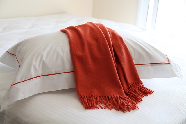 Prevent Mold Growth: Better Insulation for Safe Home Air