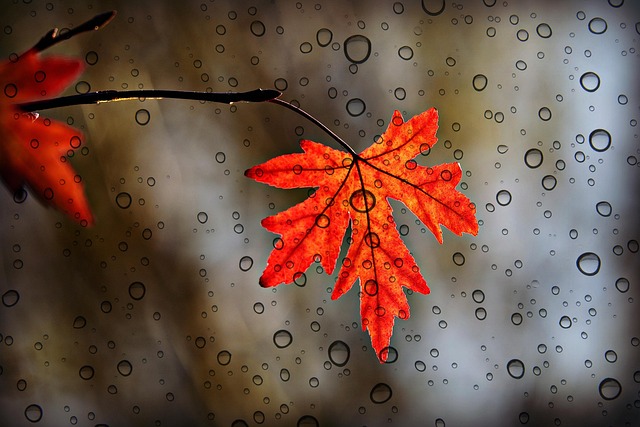 rain