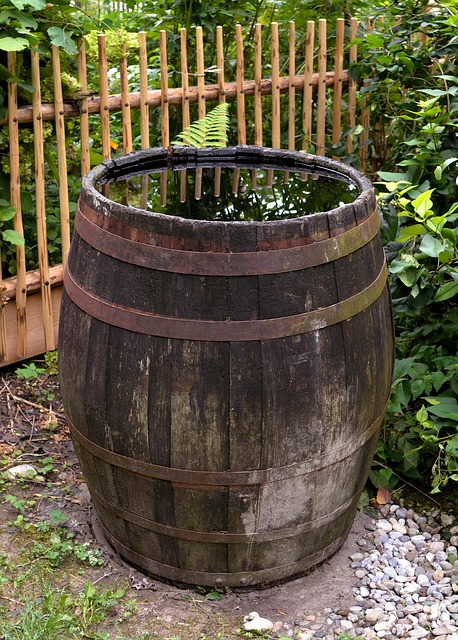 rainwater