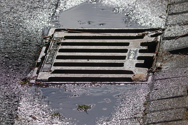 rainwater