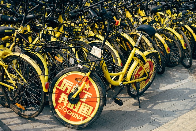 rental