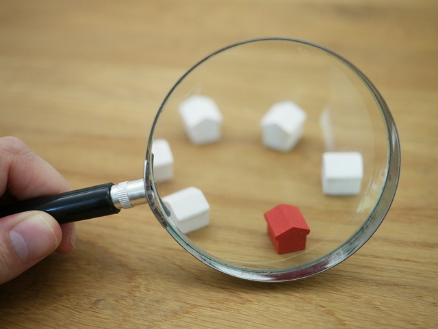 rental search