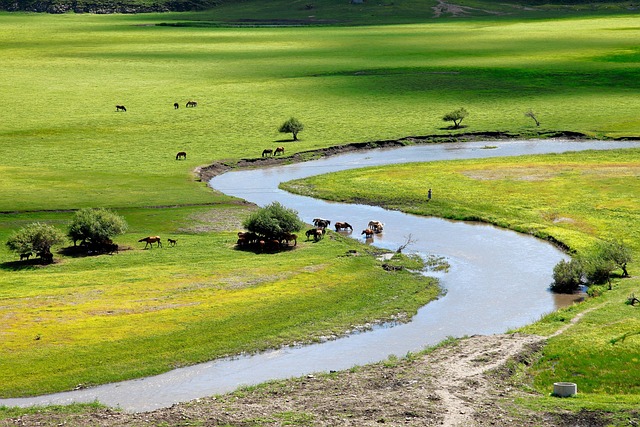 river