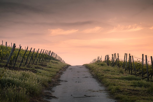 road-640x480-88770999.jpeg