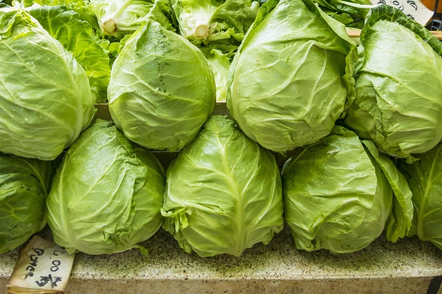 salad