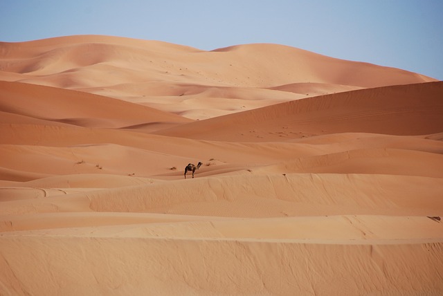sand