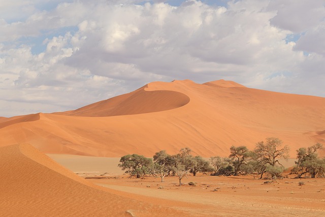 sand