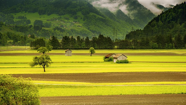 scenic-640x480-76329812.jpeg