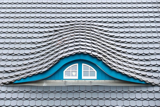 shingle roof