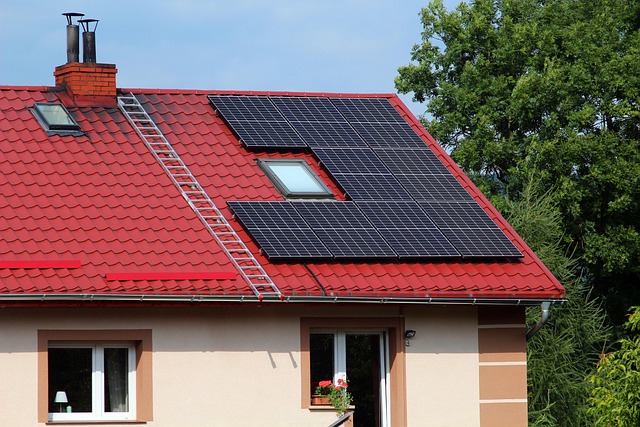 shingle roof