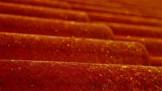 shingle roof