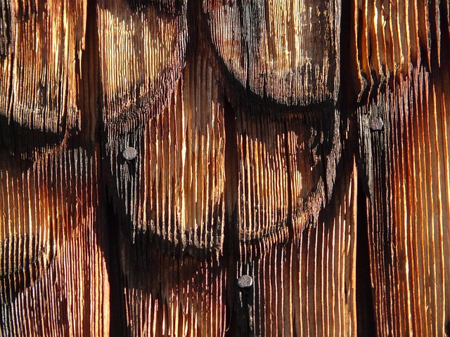 shingle roof