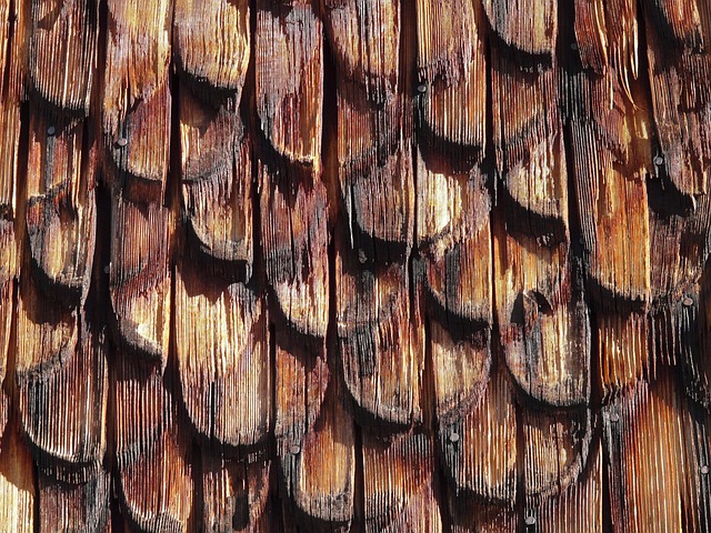 shingle roof