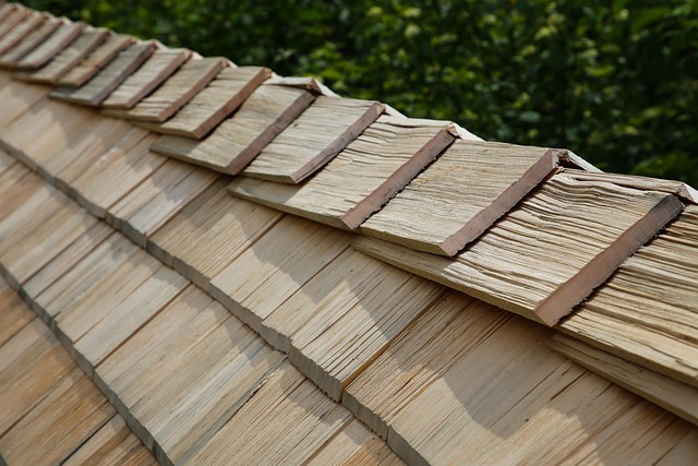 shingle roof