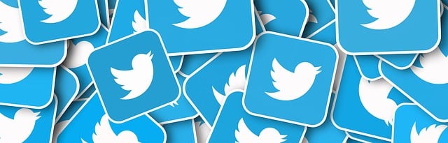 social media