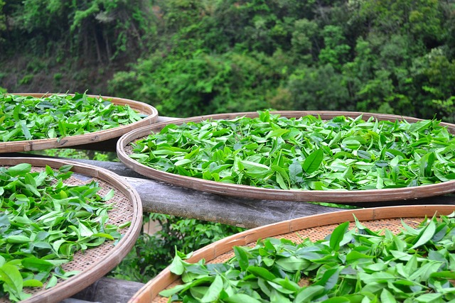 tea-640x480-65917985.jpeg