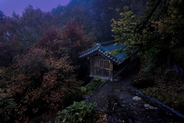 tile-roof-640x480-21684090.jpeg