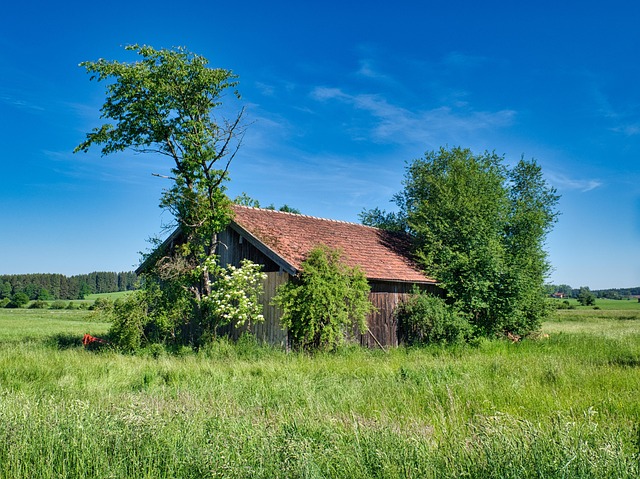 tile roof