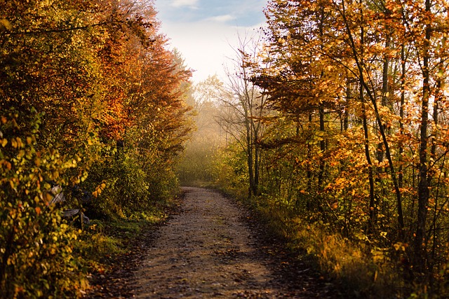 trails